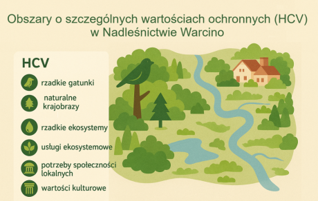 KONSULTACJE SPOŁECZNE - OBSZARY HCV I POWIERZCHNIE REFERENCYJNE